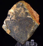 645Grams SYLVANITE NATIVE YELLOW GOLD COLORADO USA MINERAL LB214
