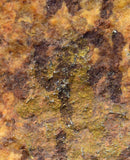 645Grams SYLVANITE NATIVE YELLOW GOLD COLORADO USA MINERAL LB214