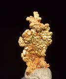 0.7cms UNIQUE NUGGET NATIVE GOLD PERU THUMBNAIL CRYSTAL MINERAL LB227