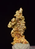 0.7cms UNIQUE NUGGET NATIVE GOLD PERU THUMBNAIL CRYSTAL MINERAL LB227