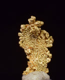 0.7cms UNIQUE NUGGET NATIVE GOLD PERU THUMBNAIL CRYSTAL MINERAL LB227