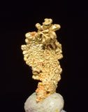 0.7cms UNIQUE NUGGET NATIVE GOLD PERU THUMBNAIL CRYSTAL MINERAL LB227