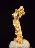 0.7cms UNIQUE NUGGET NATIVE GOLD PERU THUMBNAIL CRYSTAL MINERAL LB227