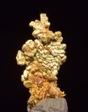0.7cms UNIQUE NUGGET NATIVE GOLD PERU THUMBNAIL CRYSTAL MINERAL LB227