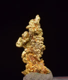 0.7cms UNIQUE NUGGET NATIVE GOLD PERU THUMBNAIL CRYSTAL MINERAL LB227