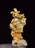 0.7cms UNIQUE NUGGET NATIVE GOLD PERU THUMBNAIL CRYSTAL MINERAL LB227