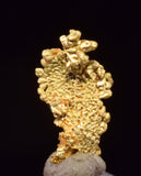 0.7cms UNIQUE NUGGET NATIVE GOLD PERU THUMBNAIL CRYSTAL MINERAL LB227