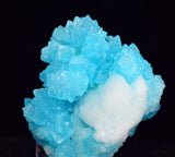 5.8cms SKY BLUE SALAMMONIAC LECONTITE ps TINCALCONITE CHILE NATURAL CRYSTALS  UB3117