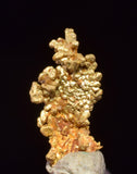 0.7cms UNIQUE NUGGET NATIVE GOLD PERU THUMBNAIL CRYSTAL MINERAL LB227