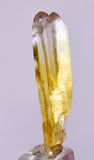 3.6cms FISH TAIL GOLDEN SELENITE CRYSTAL PERU MINERAL SPECIMEN TB159