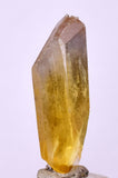 2.9cms FISH TAIL GOLDEN SELENITE CRYSTAL PERU MINERAL SPECIMEN TB160