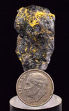 3.3cms NATIVE GOLD OF THE INCAS PERU SMOKY QUARTZ THUMBNAIL CRYSTAL LB228