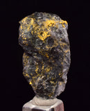 3.3cms NATIVE GOLD OF THE INCAS PERU SMOKY QUARTZ THUMBNAIL CRYSTAL LB228