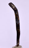 5cms GOLDEN BLACK CORAL POLISHED PERU NATURAL JEWELRY PENDANT VB3