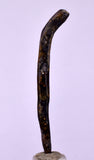 5cms GOLDEN BLACK CORAL POLISHED PERU NATURAL JEWELRY PENDANT VB3