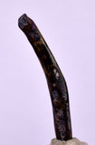 3.2cms GOLDEN BLACK CORAL POLISHED PERU NATURAL JEWELRY PENDANT VB6