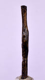 4.4cms GOLDEN BLACK CORAL POLISHED PERU NATURAL JEWELRY PENDANT VB7