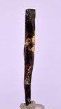 4.5cms GOLDEN BLACK CORAL POLISHED PERU NATURAL JEWELRY PENDANT VB9