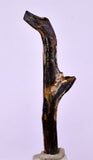 4.7cms GOLDEN BLACK CORAL POLISHED PERU NATURAL JEWELRY PENDANT VB11