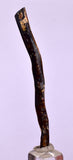 6.3cms GOLDEN BLACK CORAL POLISHED PERU NATURAL JEWELRY PENDANT VB12
