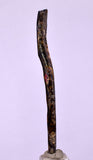 6.1cms GOLDEN BLACK CORAL POLISHED PERU NATURAL JEWELRY PENDANT VB13