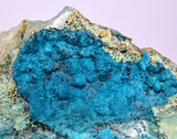 8.7cms QUARTZ CHRYSOCOLLA BOTRYOIDAL TENTADORA MINE PERU MINERAL SPECIMEN CB207