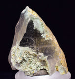3.1cms GEM CHRYSOCOLLA INSIDE SELENITE CRYSTAL LILY MINE 2000 DISCOVERY PERU TB156