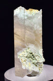 3.1cms GEM CHRYSOCOLLA INSIDE SELENITE CRYSTAL LILY MINE 2000 DISCOVERY PERU TB156