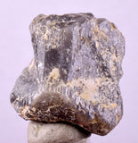 2.7cms DANBURITE CRYSTAL BOLIVIA SILICATE ORTHORHOMBIC MATRIX GEM FACET XB31