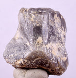 2.7cms DANBURITE CRYSTAL BOLIVIA SILICATE ORTHORHOMBIC MATRIX GEM FACET XB31