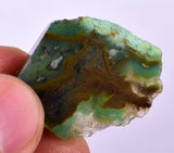 51Grams Lot GEM SILICA CHRYSOCOLLA Multicolor Chalcedony Emerald Jade Color Lily Mine SB202