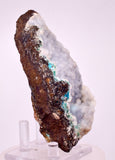 9.7cms DRUZY CHRYSOCOLLA QUARTZ CRYSTAL LILY MINE PERU 2000 YEAR DB337