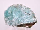8.2cms DRUZY CHRYSOCOLLA QUARTZ CRYSTAL LILY MINE PERU 2000 YEAR DB338