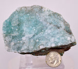 8.2cms DRUZY CHRYSOCOLLA QUARTZ CRYSTAL LILY MINE PERU 2000 YEAR DB338