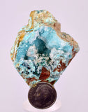 4.9cms DRUZY CHRYSOCOLLA QUARTZ CRYSTAL LILY MINE PERU 2000 YEAR DB340