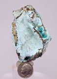 6.5cms DRUZY CHRYSOCOLLA QUARTZ CRYSTAL LILY MINE PERU 2000 YEAR DB341