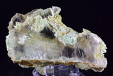 8cms GEM CHRYSOCOLLA INSIDE SELENITE CRYSTAL LILY MINE 2000 DISCOVERY PERU TB164