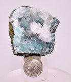 5.2cms DRUZY CHRYSOCOLLA QUARTZ CRYSTAL LILY MINE PERU 2000 YEAR DB342