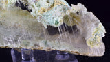8cms GEM CHRYSOCOLLA INSIDE SELENITE CRYSTAL LILY MINE 2000 DISCOVERY PERU TB164