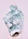 5.2cms DRUZY CHRYSOCOLLA QUARTZ CRYSTAL LILY MINE PERU 2000 YEAR DB343