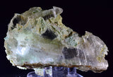 8cms GEM CHRYSOCOLLA INSIDE SELENITE CRYSTAL LILY MINE 2000 DISCOVERY PERU TB164