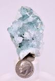 5.2cms DRUZY CHRYSOCOLLA QUARTZ CRYSTAL LILY MINE PERU 2000 YEAR DB343