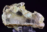 8cms GEM CHRYSOCOLLA INSIDE SELENITE CRYSTAL LILY MINE 2000 DISCOVERY PERU TB164