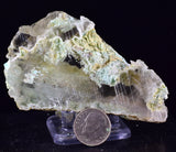 8cms GEM CHRYSOCOLLA INSIDE SELENITE CRYSTAL LILY MINE 2000 DISCOVERY PERU TB164