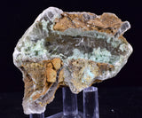 5.4cms GEM CHRYSOCOLLA INSIDE SELENITE CRYSTAL LILY MINE 2000 DISCOVERY PERU TB165