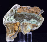 5.4cms GEM CHRYSOCOLLA INSIDE SELENITE CRYSTAL LILY MINE 2000 DISCOVERY PERU TB165
