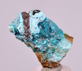 4.1cms DRUZY CHRYSOCOLLA QUARTZ CRYSTAL LILY MINE PERU 2000 YEAR DB345