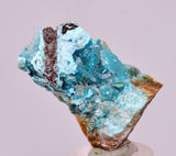 4.1cms DRUZY CHRYSOCOLLA QUARTZ CRYSTAL LILY MINE PERU 2000 YEAR DB345