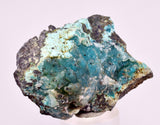 5.8cms DRUZY CHRYSOCOLLA QUARTZ CRYSTAL LILY MINE PERU 2000 YEAR DB346