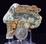 5.4cms GEM CHRYSOCOLLA INSIDE SELENITE CRYSTAL LILY MINE 2000 DISCOVERY PERU TB165